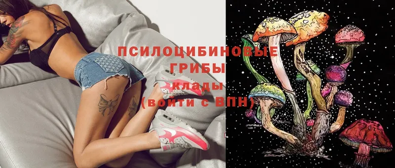 где продают наркотики  Нижняя Салда  Псилоцибиновые грибы MAGIC MUSHROOMS 